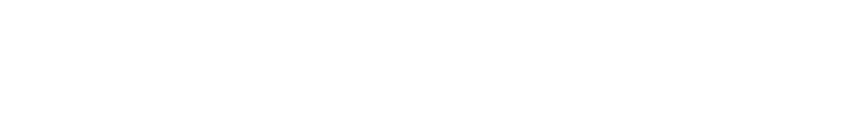 Landev Consulting